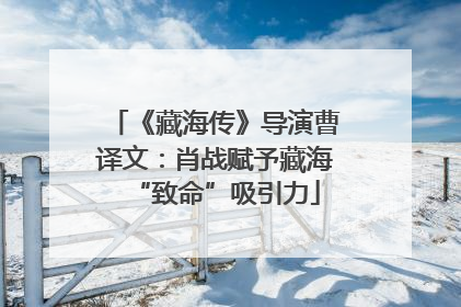 《藏海传》导演曹译文：肖战赋予藏海“致命”吸引力