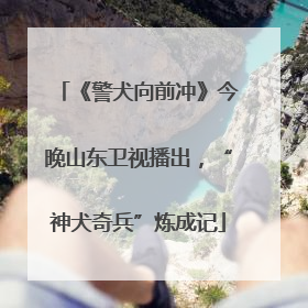 《警犬向前冲》今晚山东卫视播出，“神犬奇兵”炼成记