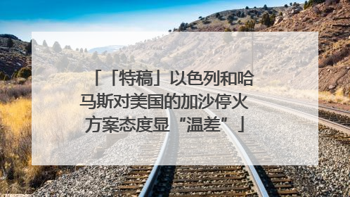 「特稿」以色列和哈马斯对美国的加沙停火方案态度显“温差”