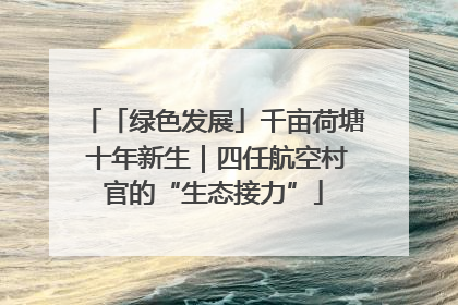 「绿色发展」千亩荷塘 十年新生｜四任航空村官的“生态接力”