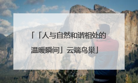 「人与自然和谐相处的温暖瞬间」云端鸟巢