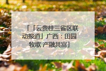 「云贵桂三省区联动报道」广西：田园牧歌 产融共富
