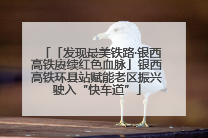 「发现最美铁路·银西高铁赓续红色血脉」银西高铁环县站赋能老区振兴驶入“快车道”
