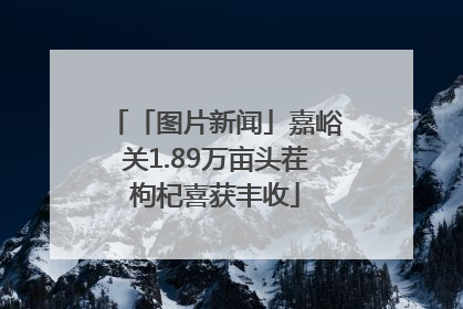 「图片新闻」嘉峪关1.89万亩头茬枸杞喜获丰收