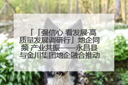 「强信心 看发展·高质量发展调研行」地企同频 产业共振——永昌县与金川集团地企融合推动重大项目建设