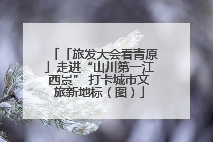 「旅发大会看青原」走进“山川第一江西景” 打卡城市文旅新地标（图）