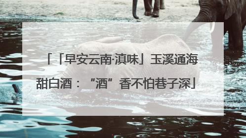 「早安云南·滇味」玉溪通海甜白酒：“酒”香不怕巷子深