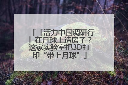 「活力中国调研行」在月球上造房子？这家实验室把3D打印“带上月球”