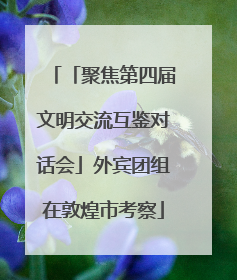 「聚焦第四届文明交流互鉴对话会」外宾团组在敦煌市考察
