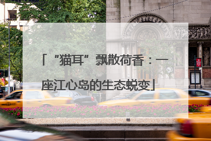 “猫耳”飘散荷香：一座江心岛的生态蜕变