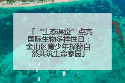 “生态课堂”点亮国际生物多样性日：金山区青少年探秘自然共筑生命家园