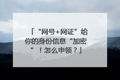 “网号+网证”给你的身份信息“加密”！怎么申领？