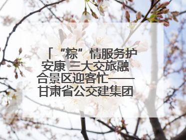 “粽”情服务护安康 三大交旅融合景区迎客忙——甘肃省公交建集团全力做好端午假期景区运营工作