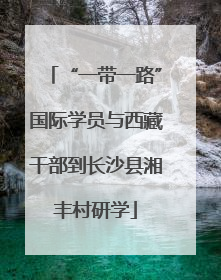 “一带一路”国际学员与西藏干部到长沙县湘丰村研学