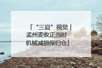 “三夏”视觉｜孟州麦收正当时 机械减损保归仓