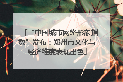 “中国城市网络形象指数”发布：郑州市文化与经济维度表现出色