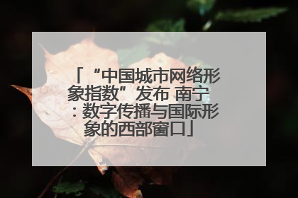 “中国城市网络形象指数”发布 南宁：数字传播与国际形象的西部窗口
