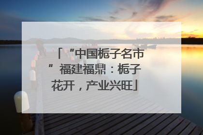 “中国栀子名市”福建福鼎：栀子花开，产业兴旺