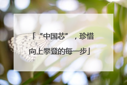 “中国芯”，珍惜向上攀登的每一步