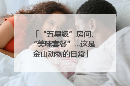 “五星级”房间、“美味套餐”…这是金山动物的日常