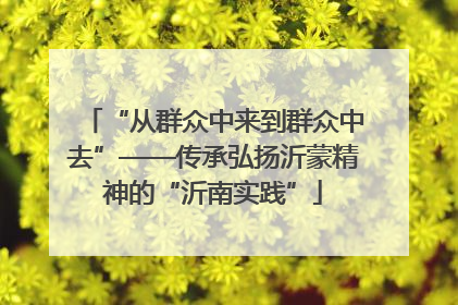 “从群众中来到群众中去”——传承弘扬沂蒙精神的“沂南实践”