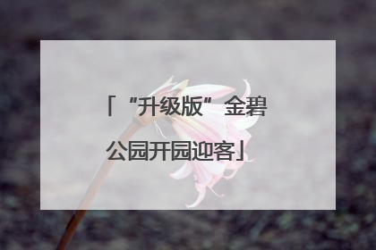 “升级版”金碧公园开园迎客