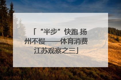 “半步”快跑 扬州不慢——体育消费江苏观察之三