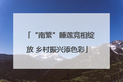 “南繁”睡莲竞相绽放 乡村振兴添色彩