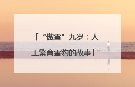 “傲雪”九岁：人工繁育雪豹的故事
