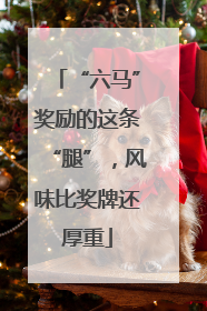 “六马”奖励的这条“腿”，风味比奖牌还厚重