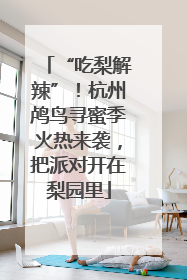 “吃梨解辣”！杭州鸬鸟寻蜜季火热来袭，把派对开在梨园里