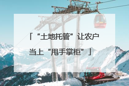 “土地托管”让农户当上“甩手掌柜”