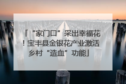 “家门口”采出幸福花！宝丰县金银花产业激活乡村“造血”功能
