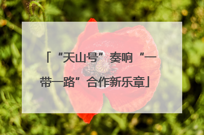 “天山号”奏响“一带一路”合作新乐章