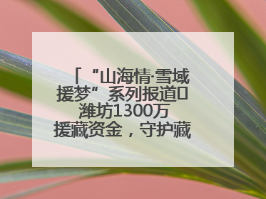 “山海情·雪域援梦”系列报道⑪ 潍坊1300万援藏资金，守护藏区群众健康“最后一公里”
