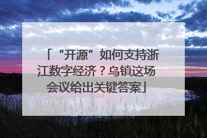 “开源”如何支持浙江数字经济？乌镇这场会议给出关键答案