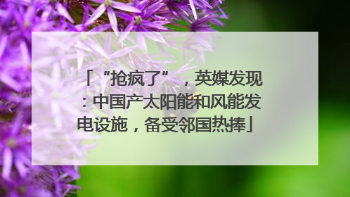 “抢疯了”，英媒发现：中国产太阳能和风能发电设施，备受邻国热捧