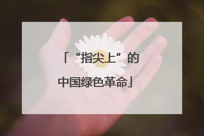 “指尖上”的中国绿色革命