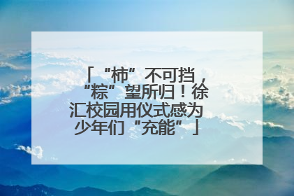 “柿”不可挡，“粽”望所归！徐汇校园用仪式感为少年们“充能”