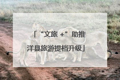 “文旅 +”助推洋县旅游提档升级