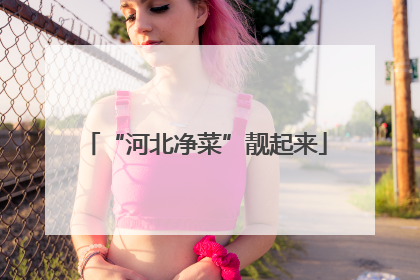 “河北净菜”靓起来