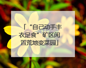 “自己动手丰衣足食”矿区闲置荒地变菜园