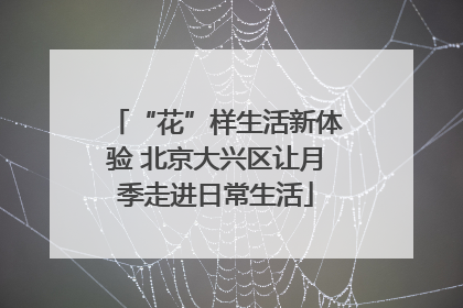 “花”样生活新体验 北京大兴区让月季走进日常生活