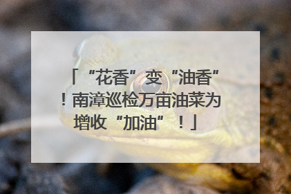 “花香”变“油香”！南漳巡检万亩油菜为增收“加油”！