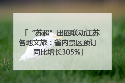 “苏超”出圈联动江苏各地文旅：省内景区预订同比增长305%