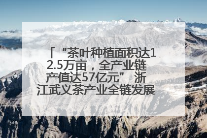 “茶叶种植面积达12.5万亩，全产业链产值达57亿元” 浙江武义茶产业全链发展“加速度”