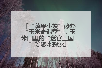 “蔬果小镇”热办“玉米奇遇季”，玉米田里的“迷宫王国”等您来探索