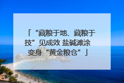 “藏粮于地、藏粮于技”见成效 盐碱滩涂变身“黄金粮仓”