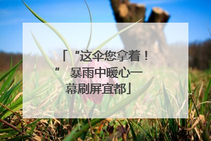 “这伞您拿着！” 暴雨中暖心一幕刷屏宜都