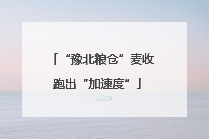 “豫北粮仓”麦收跑出“加速度”